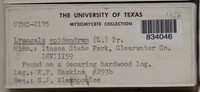 Image Associated With the Occurence